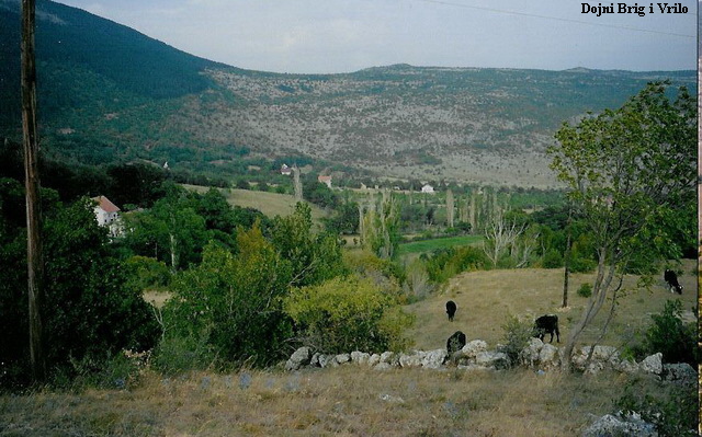 Dojni Brig i Vrilo
