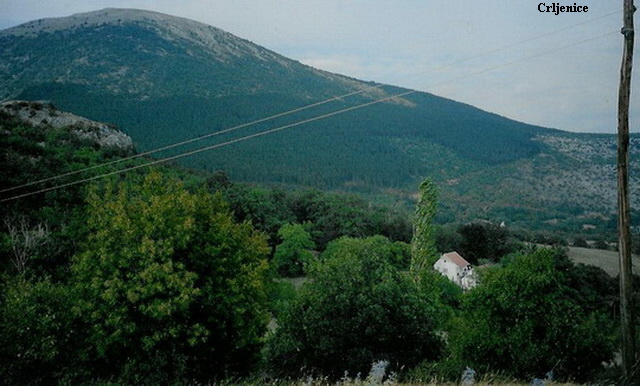 Crljenice